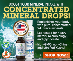 trace minerals